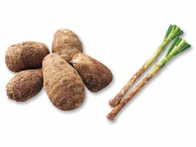 じっくり煮込んで優しい味わいに　里芋＆長ねぎのセット写真