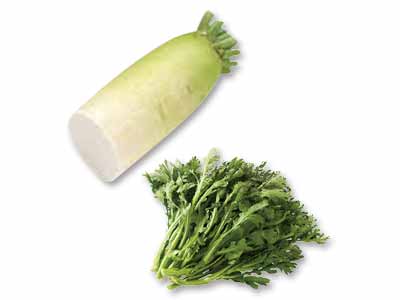 お鍋が恋しくなる季節に　大根1／2＆春菊のセット写真