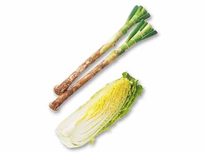 煮込んでとろとろ　長ねぎ＆白菜1／4のセット写真