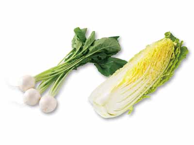 かぶ＆白菜1／4のセット写真