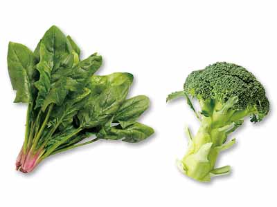 蒸して、炒めて、さっと和えて　ほうれんそう＆ブロッコリーのセット写真
