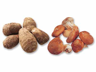 年末年始の食卓を彩る　里芋＆生しいたけのセット写真