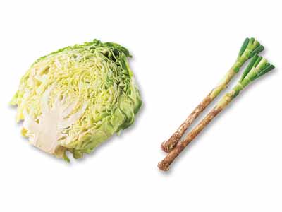 旬の甘みでほっとする　キャベツ＆長ねぎのセット写真
