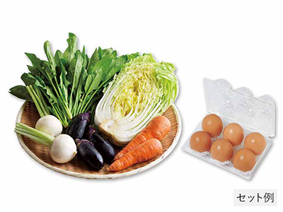 畑まるごと野菜セット5選＆平飼卵（6コ）写真