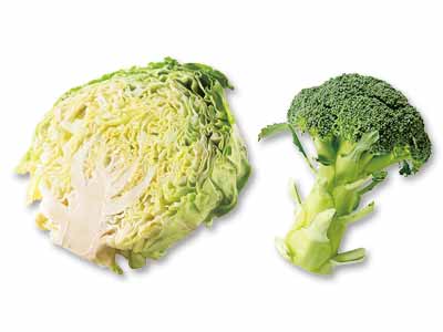 三河の潮風が育んだ恵みを味わう　寒熟キャベツ1／2＆ブロッコリーのセット写真