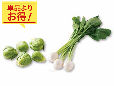 ころんと野菜でつくるスープはいかが　芽キャベツ＆かぶのセット写真