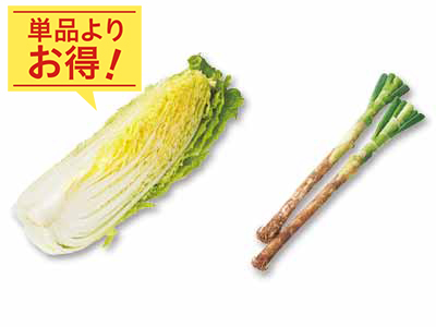 あったか料理にすっとなじむ　甘み白菜1／4＆長ねぎのセット写真