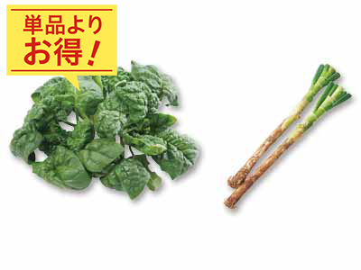 寒ちぢみの季節、そろそろ終わり。今だけの味わいを　寒ちぢみほうれんそう＆長ねぎのセット写真