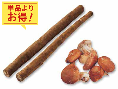 香り立つ和の味わい　ごぼう＆生しいたけのセット写真