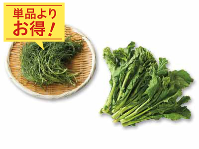 さっと調理で春らしい一品に　おかひじき＆菜花のセット写真