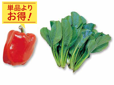 シャキッと食感と鮮やかな彩りを　パプリカ＆小松菜のセット写真