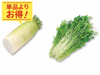 みずみずしく、煮てなじむ　大根1／2＆水菜のセット写真