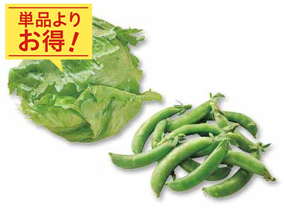 みずみずしい春の恵みを食卓に　春レタス＆スナップえんどうのセット写真