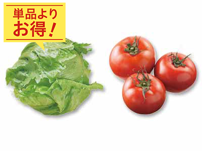 春の瑞々しさ、そのまま　シャキッと軽く飯塚さんの春レタス＆がまだすトマトのセット写真