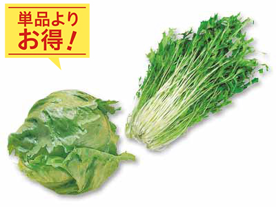 シャキッとみずみずしく、軽やかな食感　レタス＆水菜のセット写真