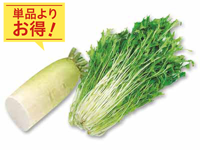 みずみずしさ広がる　大根1／2＆水菜のセット写真