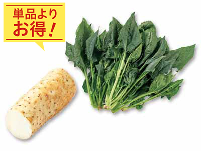 さっと炒めて食感を楽しむ　ほうれんそう＆長いものセット写真