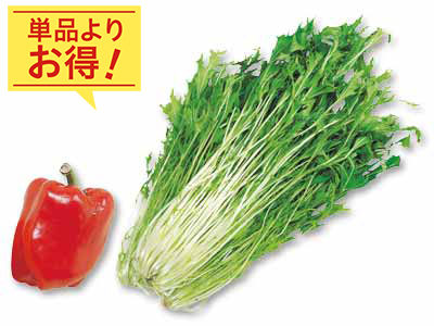 生で楽しむみずみずしさ　水菜＆パプリカのセット写真