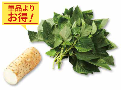 旬のねばとろ食感を楽しむ　モロヘイヤ＆長いものセット写真