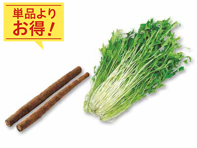 暑い日のさっぱりサラダに　ごぼう＆水菜のセット写真