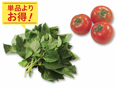 夏のご馳走　モロヘイヤ＆トマトのセット写真