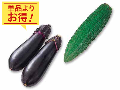 夏の味わい　ゴーヤ＆なすのセット写真