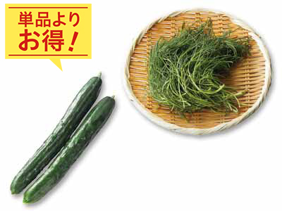 シャキシャキ食感コンビ　きゅうり＆おかひじきのセット写真