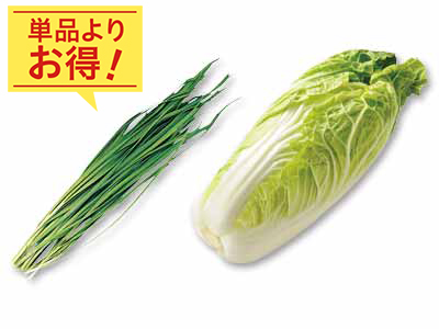 炒め物や鍋にも　ミニ白菜＆ニラのセット写真