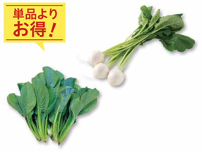 炒めてシャキっと煮込んでとろっと　かぶ＆小松菜のセット写真