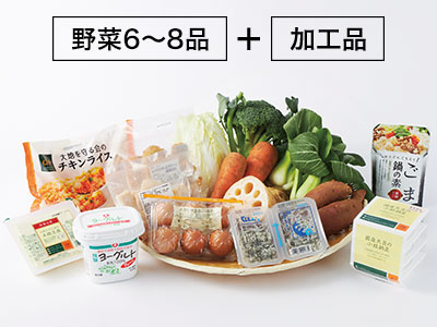 旬野菜コース写真