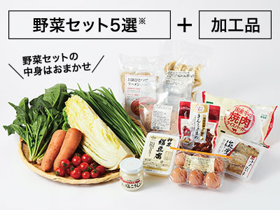 畑まるごと野菜セットコース写真