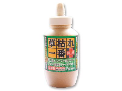 予約　草枯れ一番プラス写真