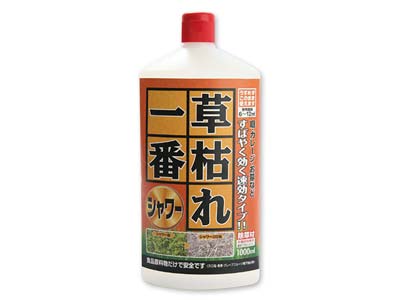 予約　草枯れ一番シャワー写真