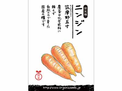 予約　国産自然農法種子　ニンジン（筑摩野五寸）写真