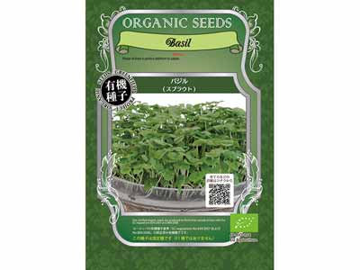 予約　スプラウト有機種子　バジル写真