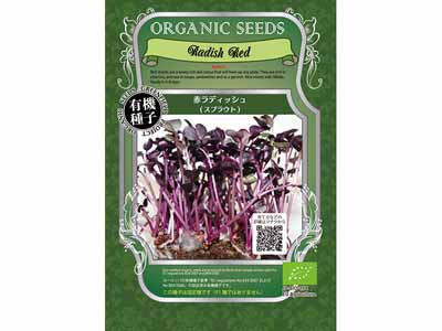 予約　スプラウト有機種子　赤ラディッシュ写真