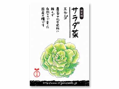 予約　国産自然農法種子　サラダ菜（エルーゴ）写真