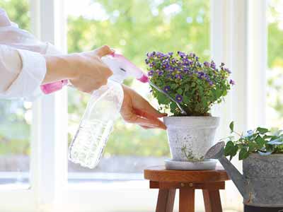 ペットボトル専用加圧式おそうじスプレー（ロングノズル付き）写真