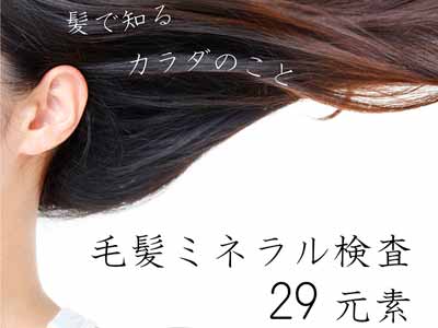 予約　毛髪ミネラル検査写真