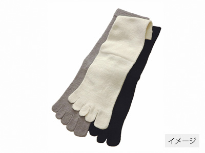 予約　シルク混5本指ソックス（かかと付）生成22−24CM写真