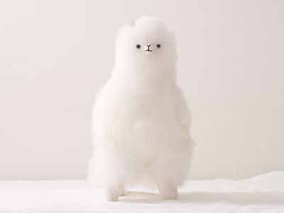 アルパカさん写真