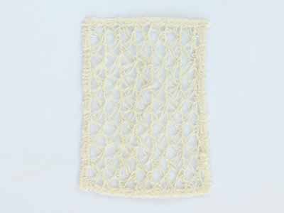 予約　日本製　絹のブラシカバー　生成写真