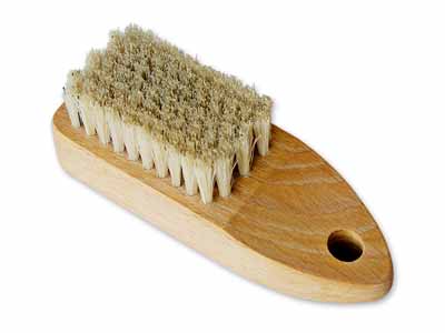 予約　根野菜ブラシ（直植え）写真