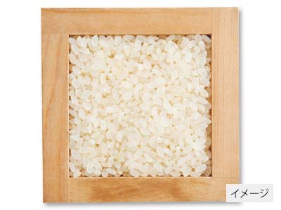 宮城ササニシキ七分写真