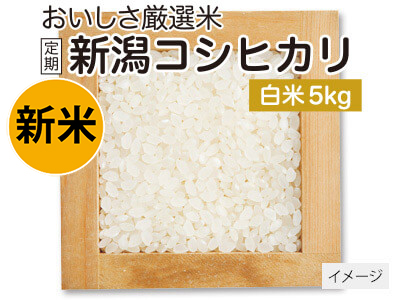 登録 新潟コシヒカリ白米 5KG写真