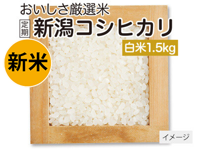 登録 新潟コシヒカリ白米 1.5KG写真