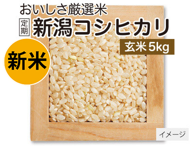 登録 新潟コシヒカリ玄米 5KG写真