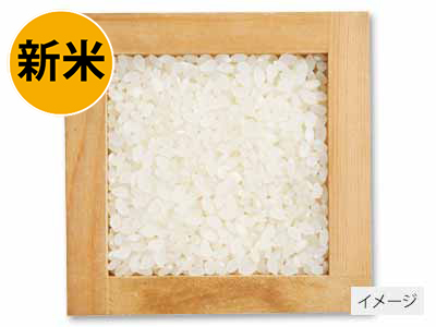 千葉ふさおとめ白米 5KG写真