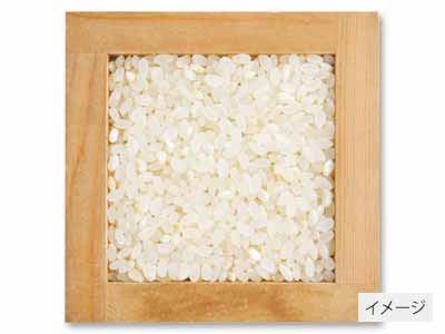 宮城ミルキークイーン胚芽米　3KG写真
