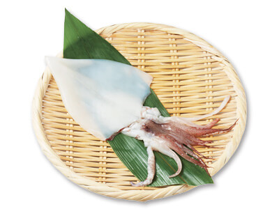 剣先イカ一夜干し写真